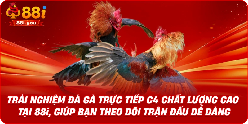 Trải nghiệm đá gà trực tiếp C4 chất lượng cao tại 88i, giúp bạn theo dõi trận đấu dễ dàng